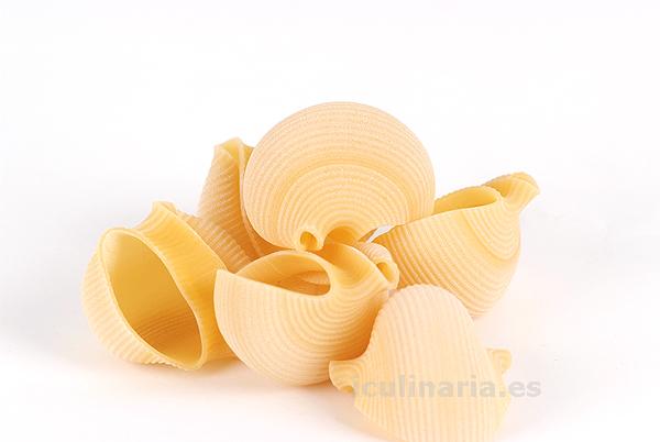 Conchoglioni | Innova Culinaria